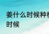 姜什么时候种植 种植姜的时间是什么时候