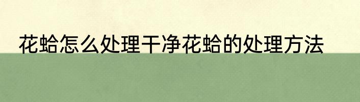 花蛤怎么处理干净花蛤的处理方法