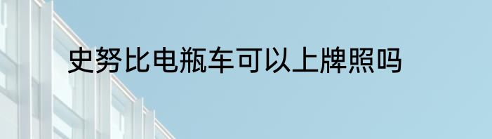 史努比电瓶车可以上牌照吗