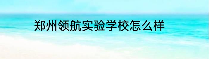 郑州领航实验学校怎么样