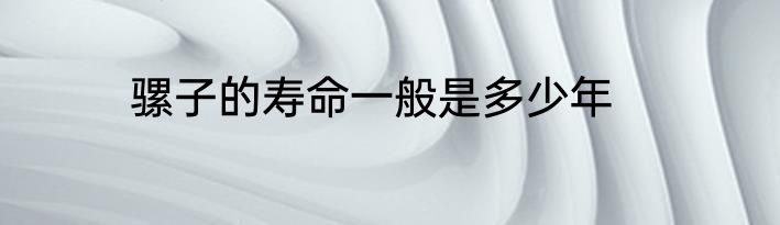 骡子的寿命一般是多少年