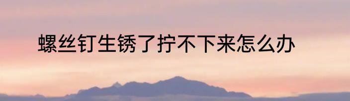 螺丝钉生锈了拧不下来怎么办