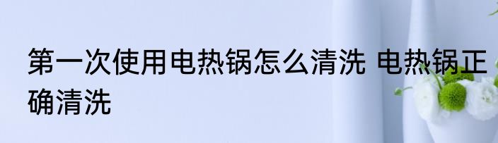 第一次使用电热锅怎么清洗 电热锅正确清洗