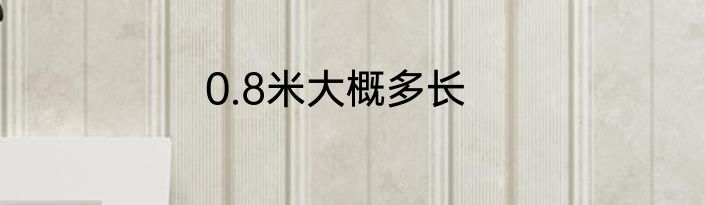 0.8米大概多长