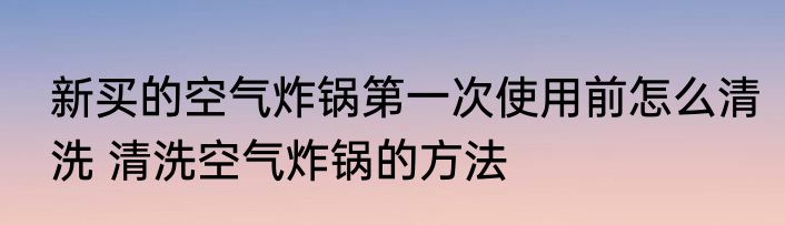 新买的空气炸锅第一次使用前怎么清洗 清洗空气炸锅的方法