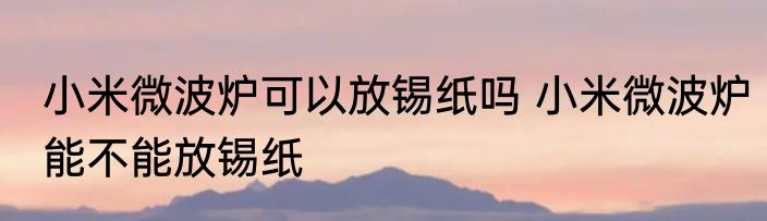 小米微波炉可以放锡纸吗 小米微波炉能不能放锡纸