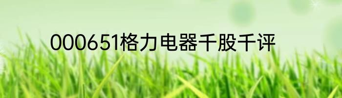 000651格力电器千股千评