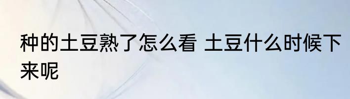 种的土豆熟了怎么看 土豆什么时候下来呢