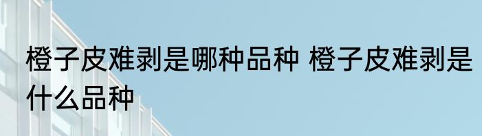 橙子皮难剥是哪种品种 橙子皮难剥是什么品种