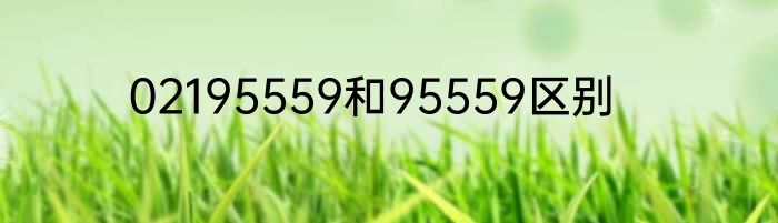 02195559和95559区别
