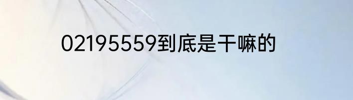 02195559到底是干嘛的