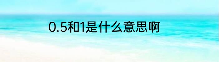 0.5和1是什么意思啊