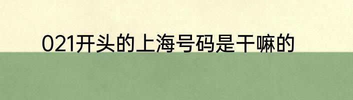 021开头的上海号码是干嘛的
