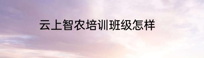 云上智农培训班级怎样