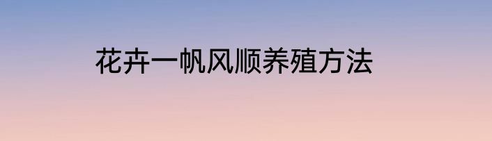 花卉一帆风顺养殖方法