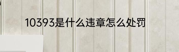 10393是什么违章怎么处罚