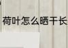 荷叶怎么晒干长久保存 荷叶如何晒干