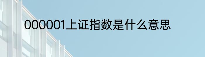 000001上证指数是什么意思