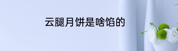 云腿月饼是啥馅的
