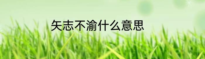 矢志不渝什么意思