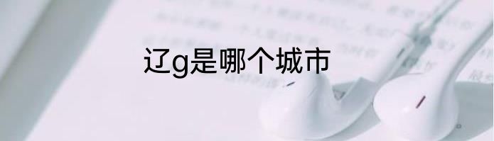 辽g是哪个城市