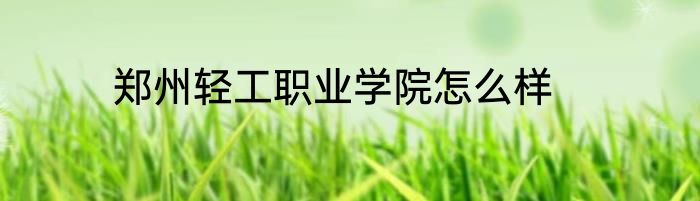 郑州轻工职业学院怎么样
