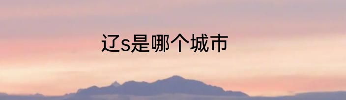 辽s是哪个城市