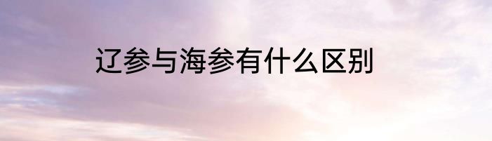 辽参与海参有什么区别