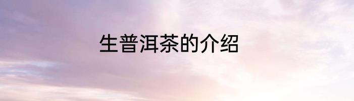 生普洱茶的介绍