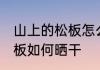 山上的松板怎么样能晒干了 山上的松板如何晒干