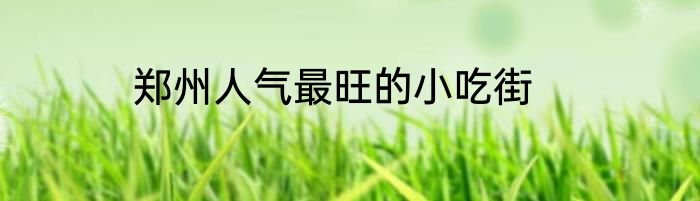 郑州人气最旺的小吃街