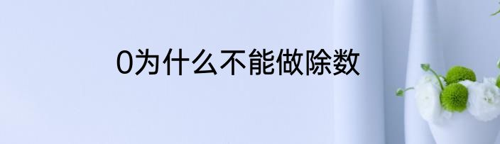 0为什么不能做除数