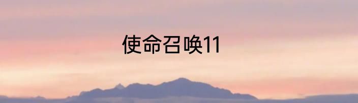 使命召唤11