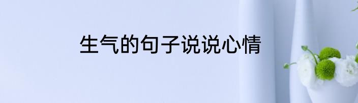 生气的句子说说心情