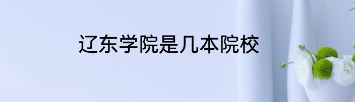 辽东学院是几本院校