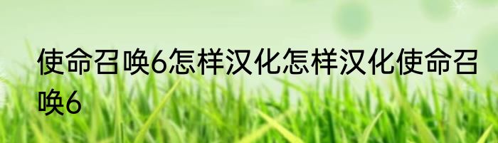 使命召唤6怎样汉化怎样汉化使命召唤6