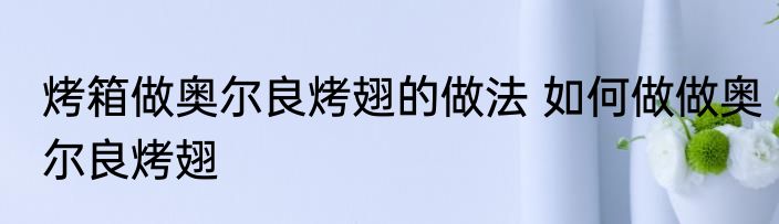 烤箱做奥尔良烤翅的做法 如何做做奥尔良烤翅
