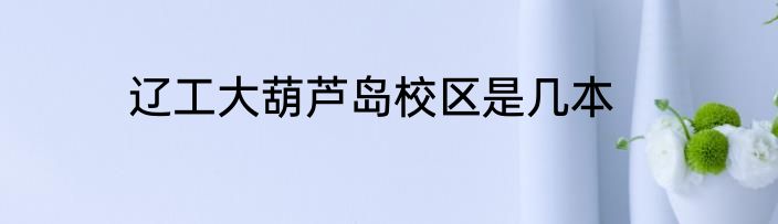 辽工大葫芦岛校区是几本