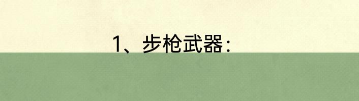 1、步枪武器：