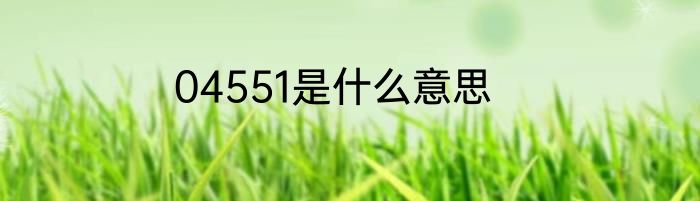 04551是什么意思