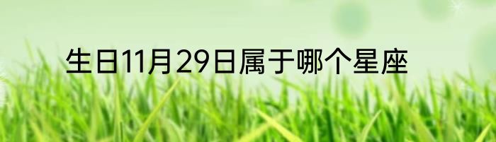 生日11月29日属于哪个星座