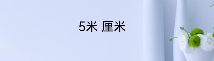 5米 厘米