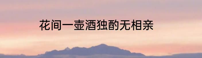 花间一壶酒独酌无相亲