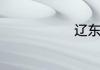 辽东是哪个省