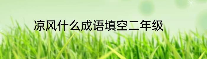 凉风什么成语填空二年级