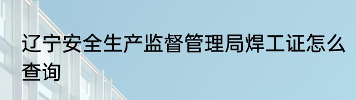 辽宁安全生产监督管理局焊工证怎么查询