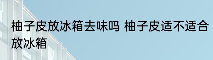柚子皮放冰箱去味吗 柚子皮适不适合放冰箱