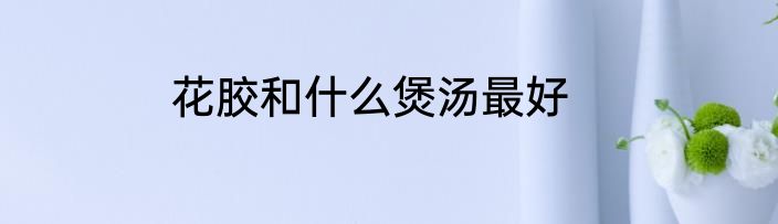 花胶和什么煲汤最好