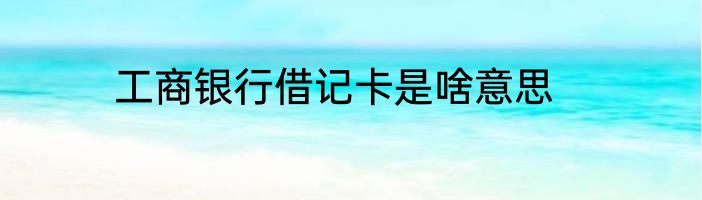 工商银行借记卡是啥意思
