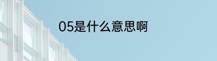 05是什么意思啊
